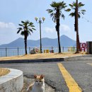 터줏대감 이미지