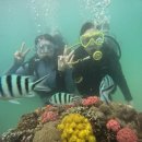 CU(동김해점) | 나트랑 4박 6일 자유여행 | 먹고 놀고 먹고 놀고