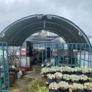 경숙농장 이미지