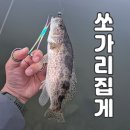 오형 | 소닉스 쏘가리집게 &#39;국내유일 20cm&#39; O형포셉 오형겸자 원형집게 낚시공구