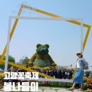 호수공원수변공원축제용 | 2025 일산꽃박람회 고양 꽃축제 실시간 후기 5월 가볼만한곳