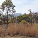 남태령옛길 이미지