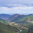 무릉계곡 진입로 이미지