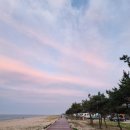 망상리조트 자동차캠핑장 | 동해 망상오토캠핑장리조트 글램핑 이글루 후기는?