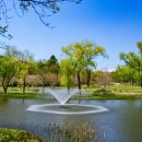 용산가족공원 이미지