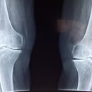 동해시 노인요양원 | 부산 해운대 나눔실버데이케어 휴식처