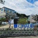 스테이쇼드 이미지