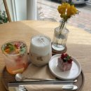 포이제 | 군산 월명동 카페 포이제/시그니처라떼,토마토바질에이드🍅