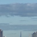 샛강 | 서울 영등포구립도서관 여의샛강도서관 &lt;감정도감 만들기&gt; 후기