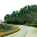 최일규정형외과의원 이미지