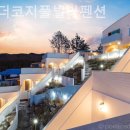 라벤더코지 이미지