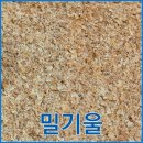 서귀포산업과학고등학교 | 유기농업기능사 실기 후기 (시뮬레이션 용) - 제주 서귀포산업과학고등학교