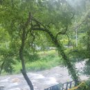 화악산통나무펜션 이미지