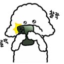 댕이룸 이미지