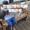 천안고양이 분양 냥블리 | 천안고양이카페 고양이 좋아하는 아이들 필수 방문! 냥이마루 고양이카페 아이와 방문 후기