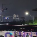 둘로스여행사