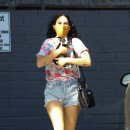 윌리스펫 이미지