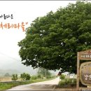 갑산1리 이미지