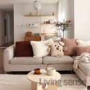 스타피드 이미지