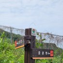 도시철도 덕천역 함경면옥 앞 | 낙동강 조망이 좋은 금정산숲속둘레길과 화명생태공원 트레킹 2024년 5월 25일