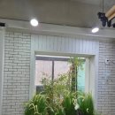 베베숲스튜디오 | 안양 베베숲스튜디오 돌촬영 대만족 후기💛