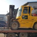 홍천군선거관리위원회 이미지