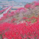 금산-14 이미지