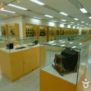 동신대학교문화박물관 티스토리