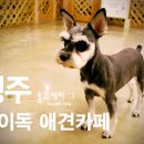 헤이독청주 네이버블로그