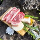 베스트 애견 이미지