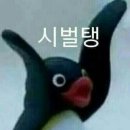 소로3-용운91 | [월간일기]3월: 안녕하세요 적당히 바람이 시원해 기분이 너무 좋아요 유후