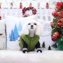 아콩하우스 이미지