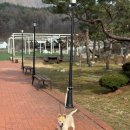 양평 용문 용골 계곡 펜션 | 양평 조용히 쉬기 좋았던 STAY246 펜션 내돈내산