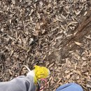 진오농장 이미지