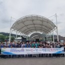 영광 법성포 굴비거리 데일리한국