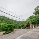 화왕산 (경남 창녕), 대중분식당 (막국수), 우포늪 이미지