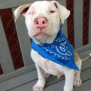 햇살이 머무는 뜨락 이미지