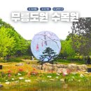 부천 무릉도원수목원 아이랑 재방문한 이유, 숲놀이터 후기