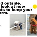 몽슈슈 강아지 이미지