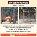 도음산 유아숲체험원 이미지