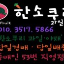 털보과일 네이버블로그
