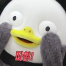 노*업