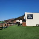 펫티움애견펜션 이미지