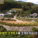 무릉도원면-17 이미지