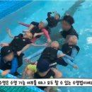 스위밍키즈 태평점 이미지