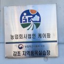 농업회사법인(유)케어팜 네이버블로그
