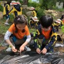 수성유치원 이미지