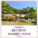 초안산 유아숲체험장 | 불암산 힐링가든 유아숲체험장 + 무료 피크닉장 둘러본 후기