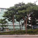 참맛 어울림 네이버블로그