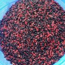 홍양농장 이미지